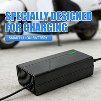 Chargeur de batterie 24V 2A pour batteries au lithium, chargeur de vélo électrique, chargeur de batterie 6S
