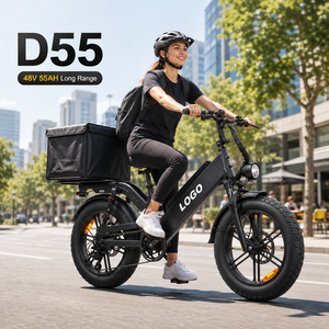 Bicicleta Eléctrica de Carga D55 E-MTB 750W 48V55Ah con Neumáticos Gruesos de 20 Pulgadas, Alcance de 240 km, Bicicleta de Reparto OEM de Fábrica - Product Image 1