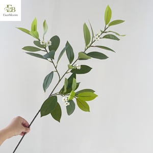 Nouvelle Arrivée Everbloom Feuilles Artificielles de Fagraea Ceilanica en Latex, <span class=keywords><strong>Jasmin</strong></span> Africain 80cm, Écologiques pour Mariages et Événements - Product Image 1