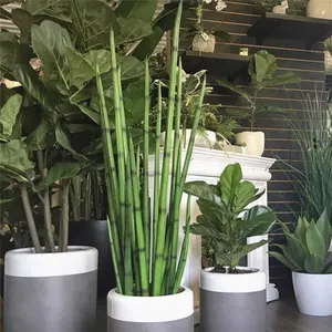 F-1610 OEM Customized Factory Home Decoration 180 CM Pu Plastic Tree Plants Pot Tall Snake Grass