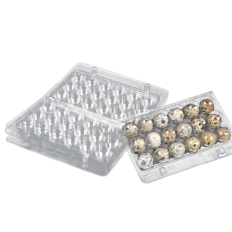 Wholesale Transparent Quail Egg Packaging Cartons