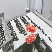 Machine d'emballage automatique à feuille froissée couleur chocolat demi-ovale, haute performance, thermoscellage entièrement automatique, personnalisable