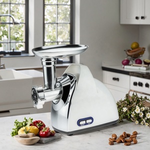 2025 Nueva picadora de carne doméstica eléctrica Premium ODM para el hogar - Product Image 5