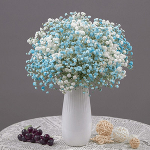 Fleurs <span class=keywords><strong>de</strong></span> Gypsophile Séchées <span class=keywords><strong>en</strong></span> Promotion – Bouquets Naturels et Authentiques pour Mariages et Décoration Intérieure - Product Image 3