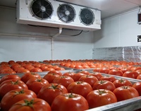 Unidad de Refrigeración Industrial de Gran Capacidad (1000 CBM) para Congelación Rápida de Mariscos, Almacenes Refrigerados
