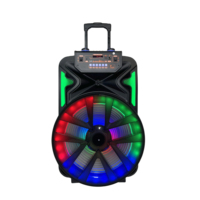 Altavoces Inalámbricos Portátiles para Exteriores de 12 Pulgadas con Bluetooth 5.0, Iluminación LED RGB, Bajos Profundos, Sonido Nítido, 2 Micrófonos, Salida de 20W, Micrófono Integrado
