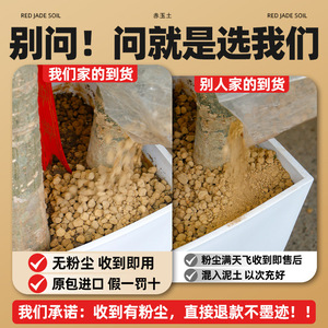 Terre pour Bonsaï Hard Akadama 14L, terre japonaise de qualité supérieure pour bonsaïs et succulentes - Product Image 5