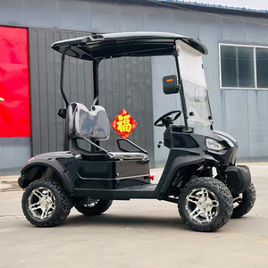 Voiturette de golf 2 places Premium 2025 - Offre à durée limitée Nouvelle voiturette de golf - Product Image 3