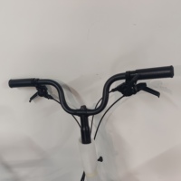 Vélo Pliant Brompton Pour Hommes et Femmes, Approvisionnement Direct Usine, Vélos Commuters Portables en Alliage d'Aluminium Forgé, Couleur Personnalisable