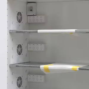 خزانة كبيرة بباب مزدوج داخلية مخصصة للبطاريات أجهزة إلكترونية محمولة بطارية ليثيوم فولاذ مجلفن IP54 - Product Image 4