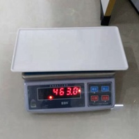 Plateau rectangulaire en mélamine blanc incassable de 13 pouces pour la restauration et les sushis, vente en gros usine