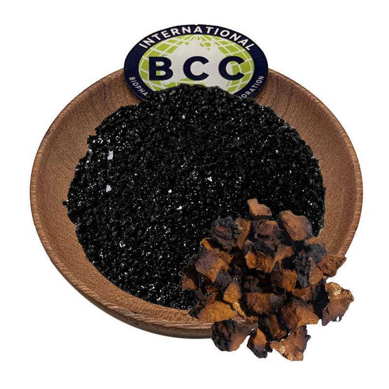 BCC порошок черного золота Chaga Экстракт Гриба Порошок полисахарид 50% березовый бархат частицы черного золота