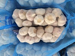 Proveedor de Ajo Chino, Ajo al por Mayor, Ajo Fresco, Vegetales, Exportador de Ajo en China, Ajo/Ajo Fresco - Product Image 2