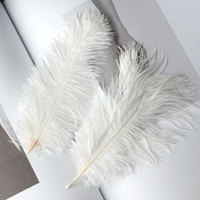 Plumes de décoration de grande taille en plumes d'oiseaux d'Afrique du Sud, couleur orange véritable, 45-50 cm, pour décoration de carnaval, plumes blanches pour la chapellerie, pour la décoration de mariage