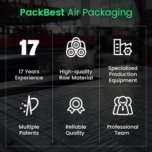 Tùy chỉnh 100micron LCD LED không khí đầy túi <span class=keywords><strong>Inflatable</strong></span> cột không khí bao bì với bên trong bảo vệ nylon phim - Product Image 3