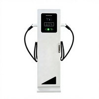 Borne de recharge pour véhicules électriques sur pied, double pistolet, chargeur AC pour VE avec double câble Type 2, écran LCD