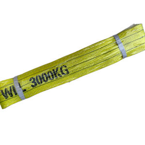 공장 직송 고강도 폴리에스터 리프팅 웨빙 LISHI 1000-10000kg 플랫 웨빙 슬링 무한 리프팅 슬링 1톤 - Product Image 4