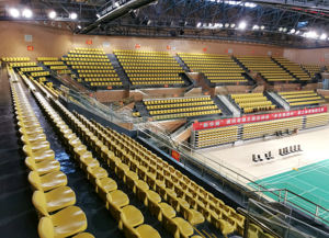 Siège <span class=keywords><strong>sport</strong></span> ergonomique moulé par soufflage de haute qualité pour événements extérieurs - Product Image 6