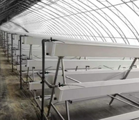 Aardbeienkwekerij Hydroponisch Irrigatiesysteem Verticale Groei Goot Enkelvoudige Kas Polyvinylchloride Afdekking Tuin