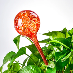 Nhà Máy Bán Hàng Sáng Tạo Nhà Máy Thủy Tinh Tưới Nước Quả Cầu Chấm Đỏ Nhà Máy Tưới Nước Bóng Đèn Gai Pha Lê Tự Tưới Nước Bóng Đèn - Product Image 2