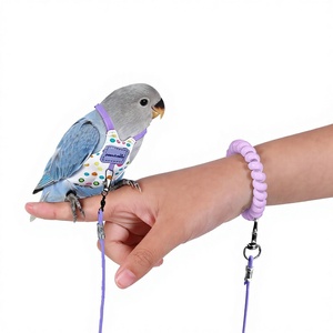 Traje de Vuelo Ultraligero para Loros con Correa Antipérdida, Arnés para Aves de Compañía para Entrenamiento de Vuelo al Aire Libre - Product Image 1