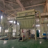 Machine de broyage à sec inspectée par vidéo pour l'usine de traitement de poudres minérales non métalliques, service personnalisé