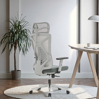 Chaise de direction ergonomique moderne, cadre gris, support lombaire réglable à 3 positions, dossier en maille respirante, mobilier de bureau, rabattable