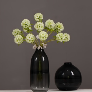 Vente en gros de graines de Scabiosa bleue de la marque Beimi, fleurs de coussin de rose pépentine, plantes vivaces pour jardin, 55 cm, respectueuses de l'environnement, prêtes à planter - Product Image 4