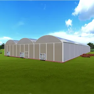 Agricultural Commercial Fruits Drying Single Tunnel Small Solar Heater Greenhouse Solar Dryer Polycarbonate Greenhouse