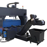 Machine de perçage, fraisage et taraudage CNC à portique mobile contrôlée par PLC de la série PD Raintech pour plaques d'acier