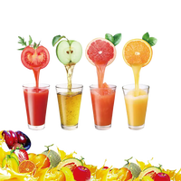 Industriële productiefaciliteit voor verse sappen, professionele fabrikant van op maat gemaakte machines en apparatuur voor de productie van fruitwijn en fruitazijn