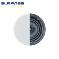 BTF41 65 pouces 40W pour haut-parleurs de plafond, de mur et de toit V5.1, amplificateur de classe D intégré, système audio bidirectionnel pour cinéma maison