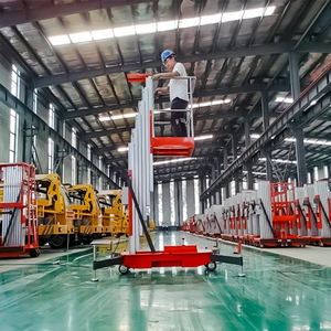 Plataforma Elevadora de Aluminio de un Solo Mástil de 150 kg, Elevador Personal, Elevador <span class=keywords><strong>Vertical</strong></span> de Mástil Móvil - Product Image 3