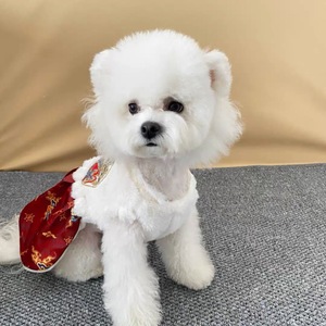 Traje Tang con falda de cara de caballo para perros pequeños, ropa acolchada de invierno para mascotas, mono de algodón grueso con forro polar - Product Image 2