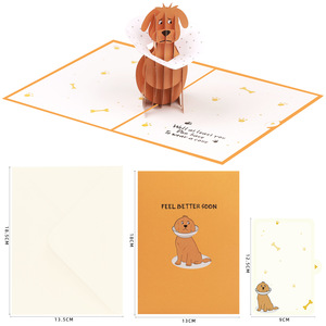 <span class=keywords><strong>Carte</strong></span> de vœux humoristique et amusante pour la rééducation canine, pyramide de condoléances, impression UV tridimensionnelle - Product Image 6