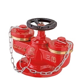 Connecteur de pompe à incendie en fonte DN20, durable pour les incendies de classe A et de classe B - Product Image 2