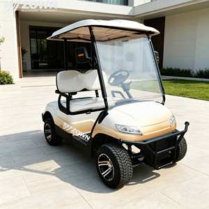 Carrito de golf eléctrico de alta potencia para 2/4/6 personas con logo personalizado para resort o villa - Product Image 1