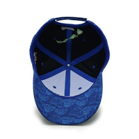 Gorra de béisbol personalizada con logotipo bordado, Logo personalizado, impresión por sublimación, 6 paneles
