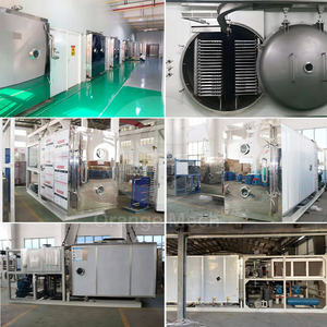 เครื่องเป่าเนื้อ lyophilization เครื่องอบแห้งด้วยระบบสูญญากาศสำหรับน้ำผึ้ง orme - Product Image 5