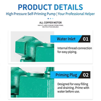 Pompe à eau centrifuge auto-amorçante électrique 220V pour système de surpression d'eau de puits domestique