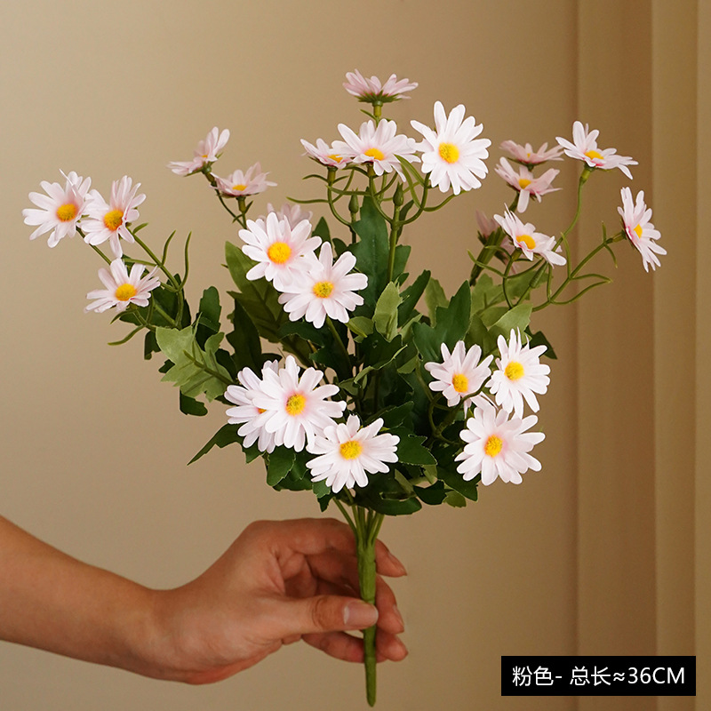 #5 Daisy