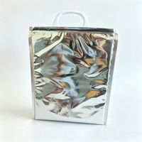 Sac isotherme en aluminium laminé de qualité alimentaire avec poignée en plastique, sac isotherme pour outils, médicaments, stockage à froid des aliments