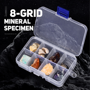 Caja <span class=keywords><strong>de</strong></span> especímenes fósiles <span class=keywords><strong>de</strong></span> Feng Shui <span class=keywords><strong>de</strong></span> 8 rejillas para el aprendizaje <span class=keywords><strong>de</strong></span> ciencias con concha amonita Trilobita erizo <span class=keywords><strong>de</strong></span> <span class=keywords><strong>mar</strong></span> - Product Image 3