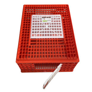 Gabbia di trasporto per pollame vivo gabbia di trasporto in plastica per anatre di pollo 10-12 polli per adulti con porta scorrevole - Product Image 4