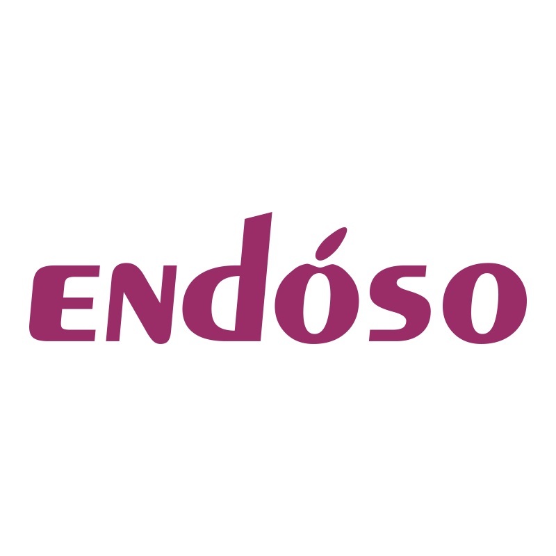 Hunan Endoso Life Technology Co., Ltd.