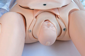 Simulateur d'entraînement en obstétrique et sage-femme : Forceps, extraction par ventouse, pratique de l'épisiotomie, mannequin pour l'éducation médicale et les soins de naissance - Product Image 2