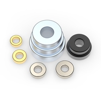 Nieuwe Mode Ferriet Magneet Schijf Gepersonaliseerde 18K Goud Gegalvaniseerd Goede Prijs Neodymium Fruit Poeder Ring