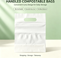 Emballage pour chaussettes et bas haut de gamme, logo personnalisé, sac zippé en plastique transparent haute résistance, compostable et biodégradable PLA+PBAT