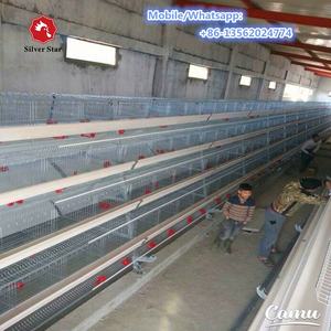 Sistema Automático de Eliminación de Estiércol para Jaulas de Aves de Corral Tipo A/Gallinero para Gallinas Ponedoras - Product Image 6