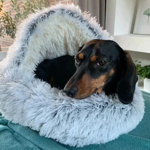 Nuovo Letto per Gatti in Peluche 2023, Lavabile, con Cappuccio, a Forma di Caverna, Comodo Letto Rotondo Invernale per Animali Domestici, Tappetino per Cani da Interno - Product Image 6